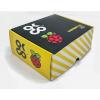 Raspberry Pi 4 B 8GB Basic Kit with Case and Cables (US)