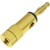 RS PRO Banánek, 4 mm, 30V, 24A, Černá, Vnější Přenos, materiál kontaktu: Mosaz, délka: 42 mm, pokovení kontaktu: Zlatá