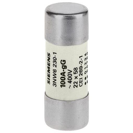 Kazetová pojistka 100A F 10 x 38 mm Siemens 600V