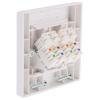 Telefonní zásuvka, RJ45 Bílá 2 RS PRO