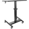 Počítačová pracovní stanice, Černá Sezení/Stání 1145 mm Na kolečkách, Ocel 600mm StarTech.com 800 mm