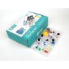 Elecfreaks Startovací sada Elecfreaks Micro-bit