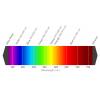 LED, řada: Multi-Colour LED 2 kolíkový Průchozí otvor 2 LED barva Zelená, Žlutá 588nm 2.2 V L-937GYW 60 ° Kingbright 3