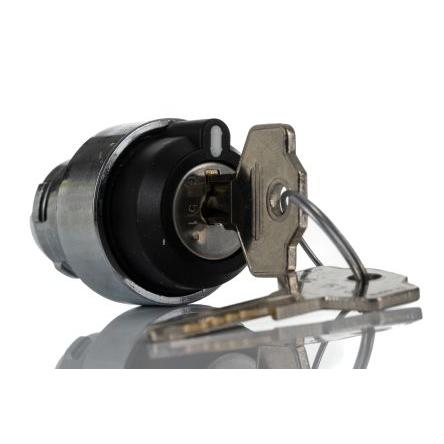 RS PRO Hlava klíčového spínače 2polohová Udržované, průměr výřezu: 22.5 mm
