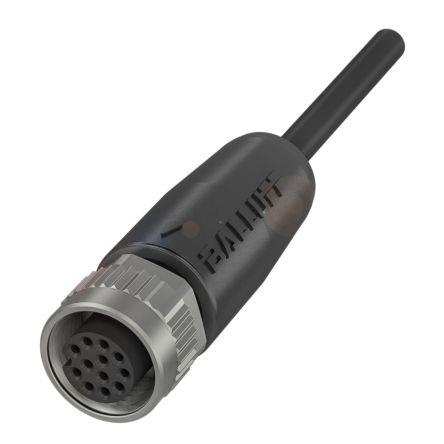 Kabel ovladače snímače, A: Vnitřní, A: Rovný 4, B: Bez koncovky, B: Vnější, 250V 4, IP67, IP68, IP69K, řada: BCC06