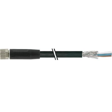Kabel ovladače snímače, A: Vnitřní, A: M8, Rovný 4, B: Bez koncovky, 50V, IP67, řada: CAM8.A4-11232565 Baumer 5 m