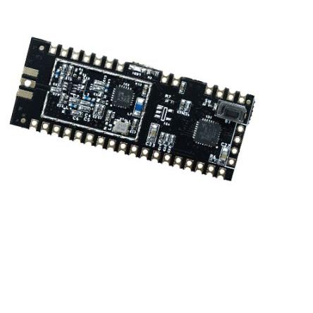RF Solutions Modul LoRa -148 dBm