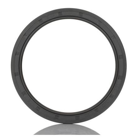 SKF Nitrilový kaučuk (NBR) 100 mm (vnitřní prům.) 120 mm OD 10 mm