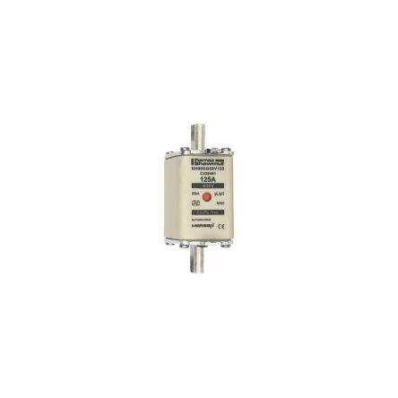 Pojistka NH 125A NH00 gG Mersen