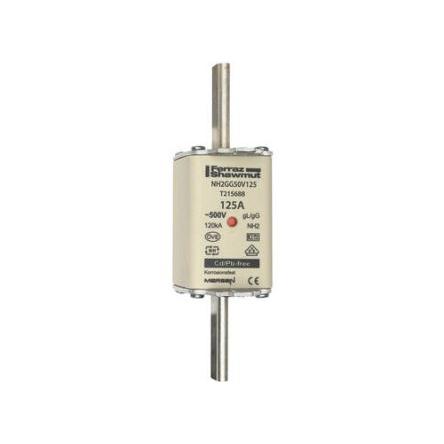 Pojistka NH 125A NH2 gG Mersen