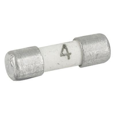 Pojistka pro povrchovou montáž 125mA Rychlý Schurter 125V ac