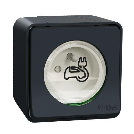 Nabíjecí zásuvka EV Šedá 1cestná Mosaz 16A Francouzština 2P Obojí IEC 60884-1 Schneider Electric 250V