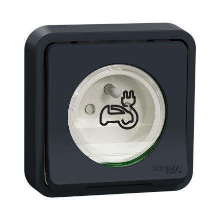 Nabíjecí zásuvka EV Šedá 1cestná Mosaz 16A Francouzština 2P Obojí NF Schneider Electric 250V