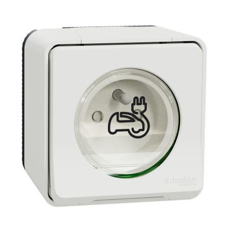 Nabíjecí zásuvka EV Šedá, Bílá 1cestná Mosaz 16A Francouzština 2P Obojí NF Schneider Electric 250V