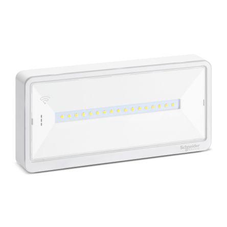 Schneider Electric Nouzové svítidlo, IP42, typ žárovky: LED Povrch 520 mW