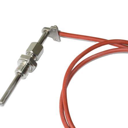 Electrotherm PT100 6 mm 100 mm 2 F0.3 400 °C