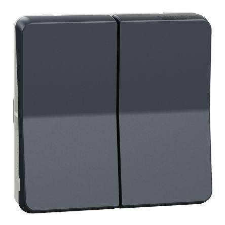 Schneider Electric Kolébkový spínač IP55 1P 2-cestný, barva ovladače: Antracitová Povrch 2 kroky 10A