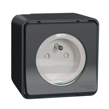 Zásuvka Šedá 1cestná Polypropylen 16A Francouzština 2P Obojí NF Schneider Electric 250V