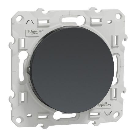 Schneider Electric 2 Černá 10A Odace 2011