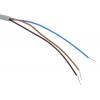 Pepperl + Fuchs Indukční bezdotykový snímač NBB0,6-3M22-E0 Válec se závitem M3 100mA IP67 NPN 3 kHz 0.6 mm 30 V dc