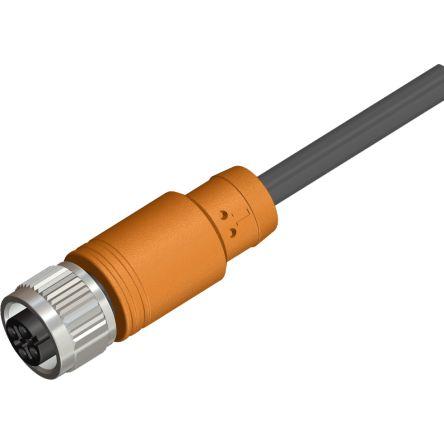 Kabel pro snímače a ovladače, A: Vnitřní, A: M12, Rovný 4, B: Volný konec kabelu, B: Neuzavřený, 60V, IP67 RS PRO 10 m