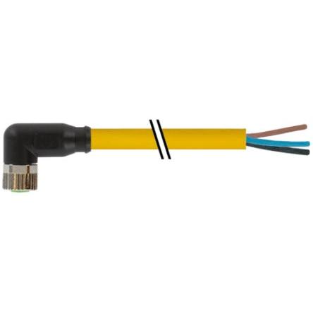 Kabel ovladače snímače, A: Vnitřní, A: Pravoúhlý 3, B: Volný konec kabelu, 30V, IP65, řada: 7000 Murrelektronik Limited