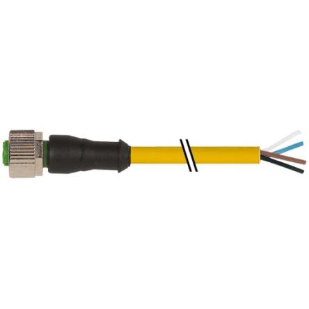 Kabel ovladače snímače, A: Vnitřní, A: Rovný 4, B: Volný konec kabelu, 250V, IP65, řada: 7000 Murrelektronik Limited 3 m
