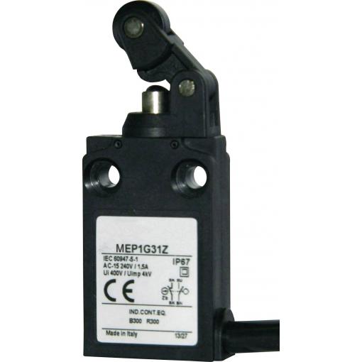 Panasonic MEP1G31Z MEP1G31Z koncový spínač 24 V 5 A páka s rolnou/simulovanou rolnou IP67 1 ks