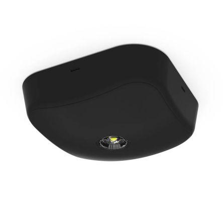 Ansell Lighting Nouzové osvětlení, IP65 Povrchové nouzové svítidlo, typ žárovky: LED Povrch 3 W Bezúdržbové