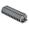 WAGO Pás Terminal 260-112, řada: 260, 400V Šedá 1.5mm² 1 Klecová svorka