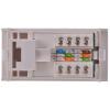 Zásuvkový modul RJ, počet cest: 1 RJ45 UTP Přímý Cat5e Bílá RS PRO