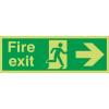RS PRO Konec znamení, Polybutylentereftalát FIRE EXIT, Zelená, Bílá Angličtina