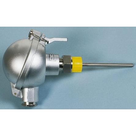 Correge PT100 6 mm 100 mm 6 Class A 500 °C ATEX