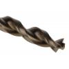 Vrták, celková délka: 151mm, Rychlořezná ocel 12.5 mm, počet kusů: 2 dřík 12.5 mm DeWALT