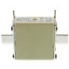 Pojistka NH 100A NH00 FF gRL SIBA 690V ac