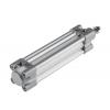 Pneumatický válec vodicích tyčí, řada: RS PRO Dvojčinný, vývrt: 32mm RS PRO, délka: 100 mm