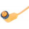 Kabel ovladače snímače, A: Vnitřní, A: 7/8 in kulatý, Pravoúhlý 5, B: Bez koncovky, 600V, IP68, řada: V95-W-2M-PVC
