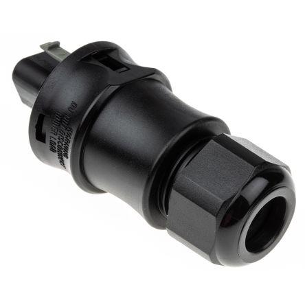 Wieland Konektor pro osvětlení, řada: RST20i3 Kabel Vnější Kulatý Objímka 20A, IP68 barva Černá, formát pólů: 3
