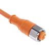Kabel ovladače snímače, A: Vnitřní, A: Rovný 4, B: Bez koncovky, 250V, IP69K, řada: PRKT Lumberg Automation 10 m