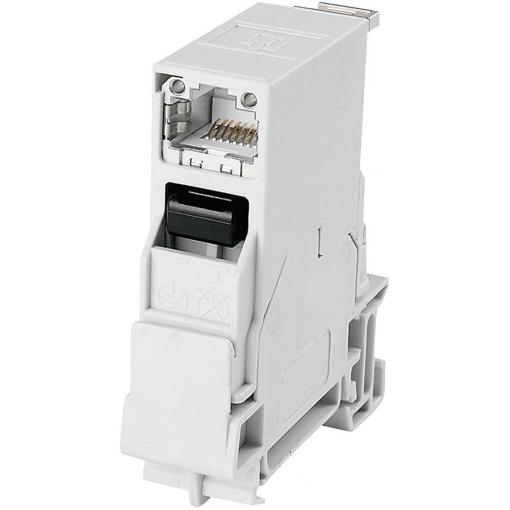 Telegärtner 100007436, RJ45 konektor, zásuvka, vestavná, počet pólů: 8P8C, světle šedá, 1 ks