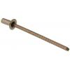 Pop Rivets Nýt, Nerezová ocel, délka nýtu: 8 mm, Obyčejný Nerezová ocel Slepý, průměr nýtu: 3.2 mm