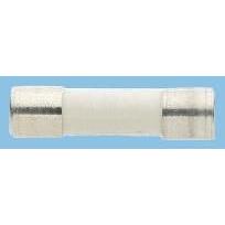 Kazetová pojistka 5A T 5 x 20 mm RS PRO Keramika 250V ac