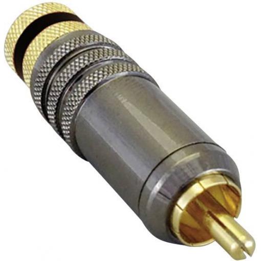 BKL Electronic 0101020 cinch konektor zástrčka, rovná Pólů: 2 černá 1 ks