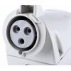 Scame Průmyslový napájecí konektor, řada: OPTIMA-TOP, IP66, IP67, Nástěnná barva Modrá, 32A 2P+PE, 230V