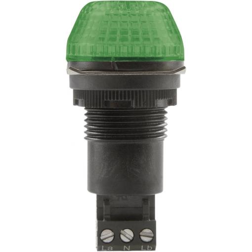 Auer Signalgeräte signální osvětlení LED IBS 800506404 zelená zelená trvalé světlo, blikající světlo 12 V/DC, 12 V/AC