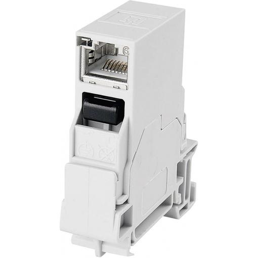 Telegärtner 100007437, RJ45 konektor, spojka, vestavná, počet pólů: 8P8C, světle šedá, 1 ks
