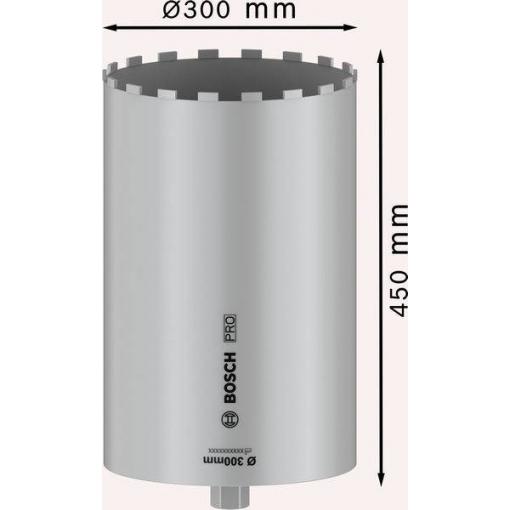 Bosch Accessories 2608601802 2608601802 vrtací korunka 300 mm 1 ks
