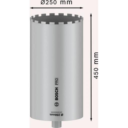 Bosch Accessories 2608601801 2608601801 vrtací korunka 250 mm 1 ks