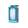 Myš drátová REBEL WDM210 White