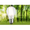 Paulmann 29226 LED Energetická třída (EEK2021) A (A - G) E27 7.2 W teplá bílá (Ø x v) 60 mm x 106 mm 1 ks